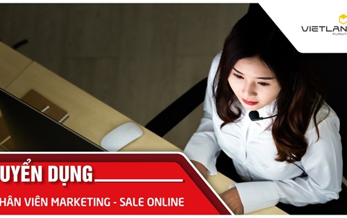 Công ty TNHH lâm sản Việt Lang tuyển nhân viên Marketing - Sale Online
